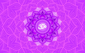 Het zevende chakra, de kruinchakra, kruin, Sahasrara, spirituele betekenis symboliek