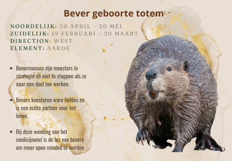 bever geboorte totem