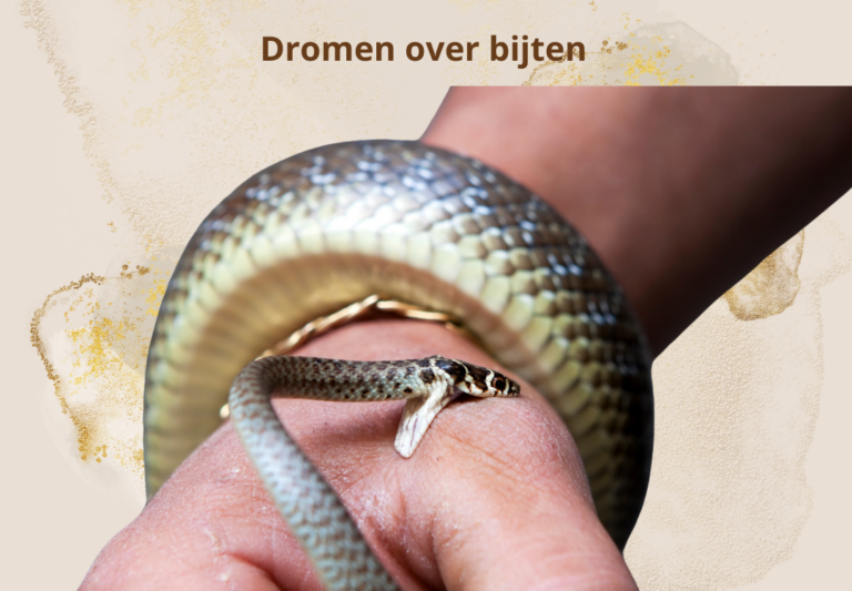 bijten Droom symboliek spirituele betekenis gebeten worden