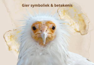Gier symboliek spirituele betekenis Gier krachtdier totemdier spirit animal