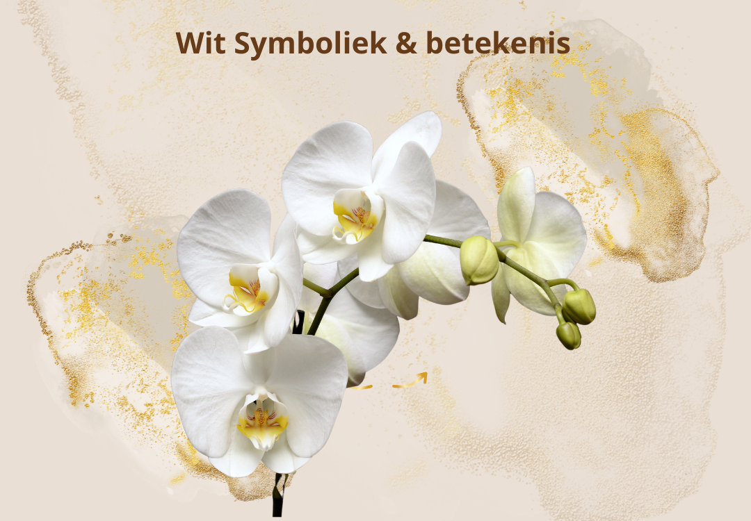 kleur wit symboliek spirituele betekenis dromen droom
