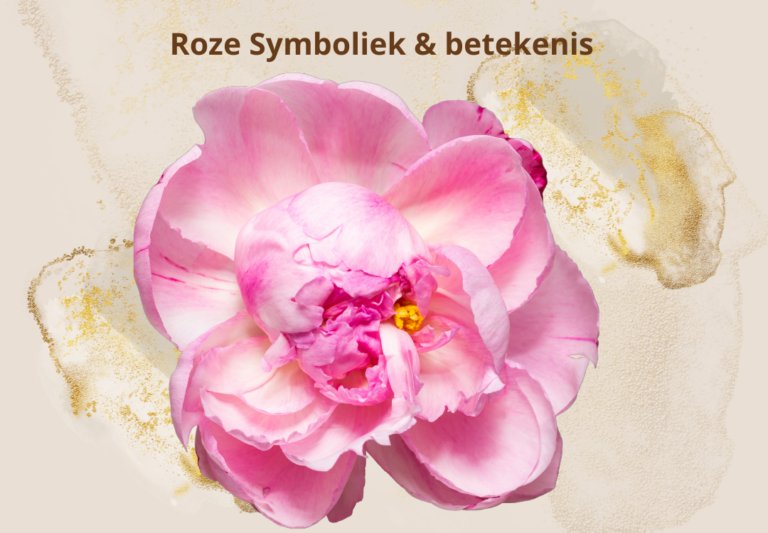 kleur Rose symboliek spirituele betekenis dromen droom