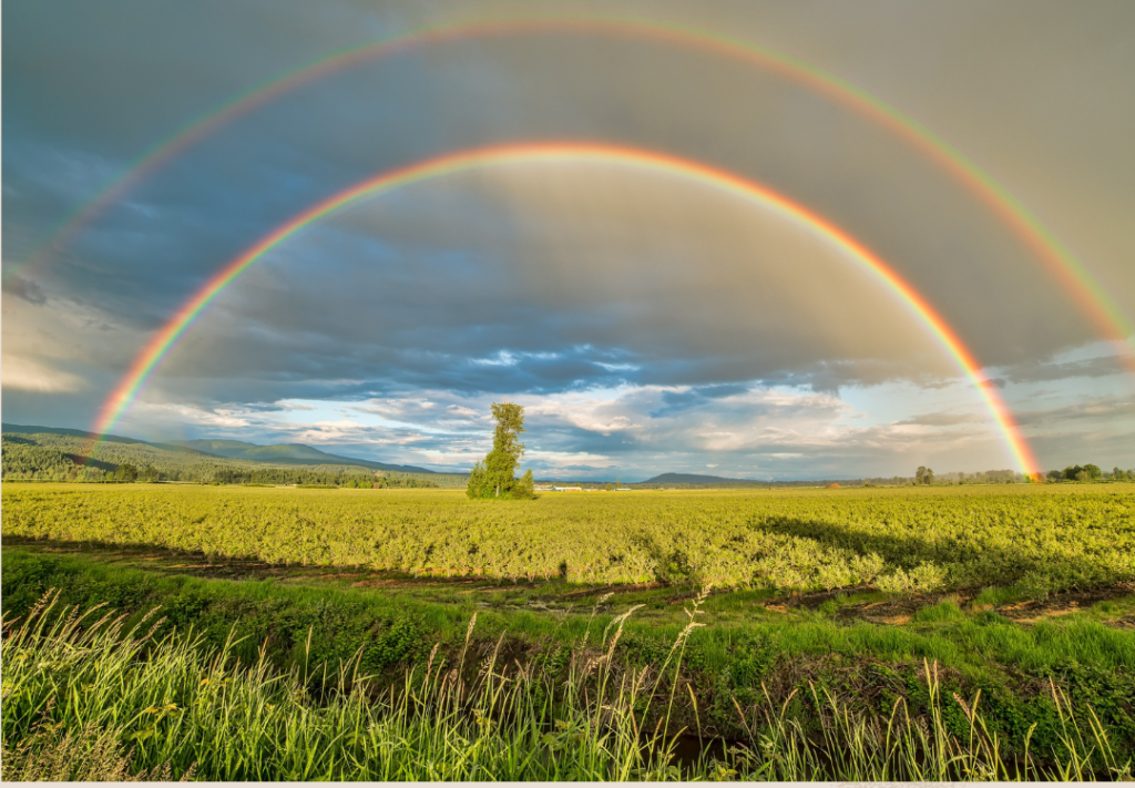 Dubbele Regenboog symboliek spirituele betekenis dromen droom