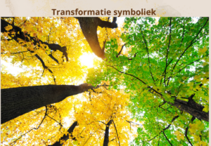 Transformatie transformerend spirituele spiritueel betekenis symboliek droom dromen