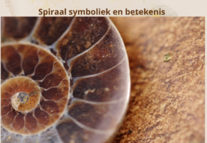 Spiraal spirituele spiritueel betekenis symboliek droom dromen