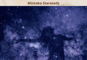 Mintaka Starseeds starseed betekenis spiritueel