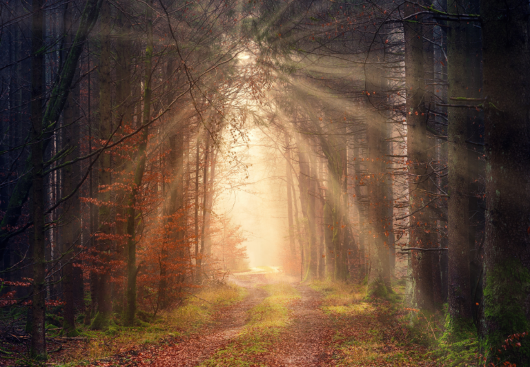 Luminantie helderheid spirituele betekenis symboliek droom dromen