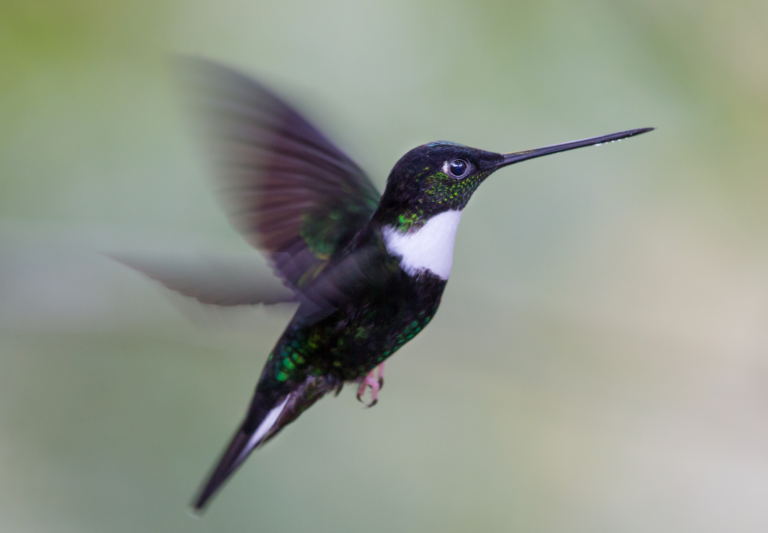 neuriën in je dromen spirituele betekenis symboliek