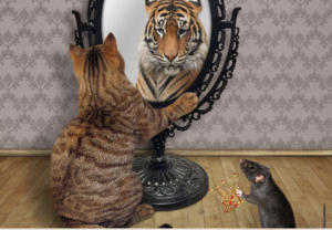 Spiegel spiegelbeeld Spirituele Betekenis symboliek droom dromen