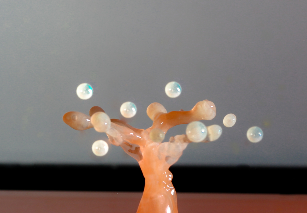 hoe familieopstelling zelf doen aan de slag met familieopstelling