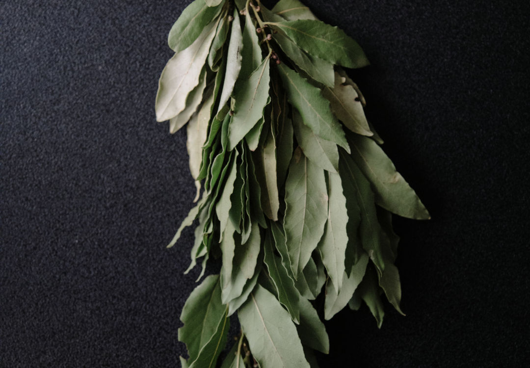 Laurier spirituele betekenis symboliek droom dromen