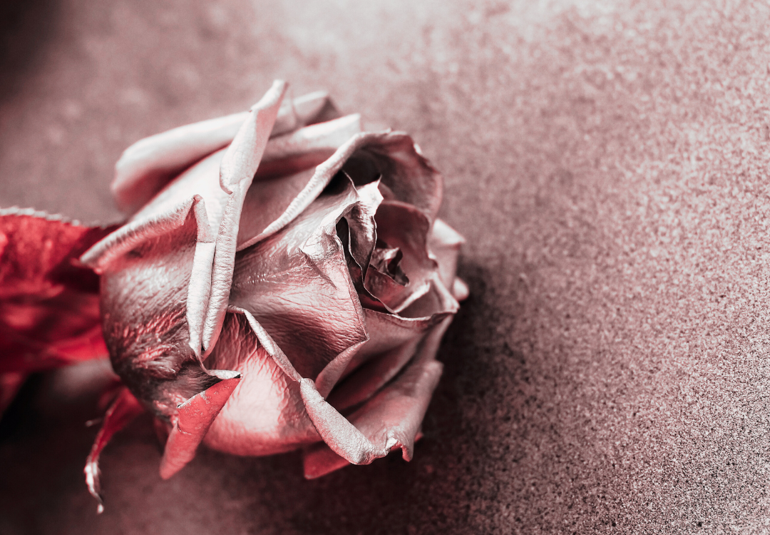 Rosegoud spirituele betekenis symboliek symbool droom dromen