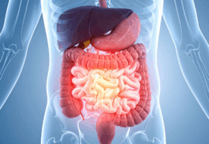 lever ontsteking hepatitis leverproblemen spirituele betekenis droom dromen symboliek