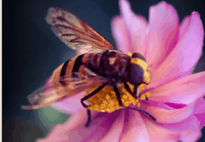 Bijenkoningin moer Koninginnebij spirituele spiritueel betekenis symboliek droom dromen